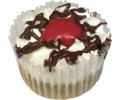 92029 Layered Cake/Cupcake
