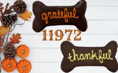 11972